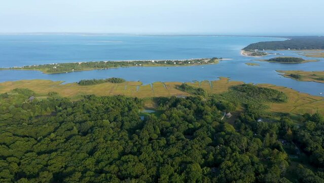 The Hamptons