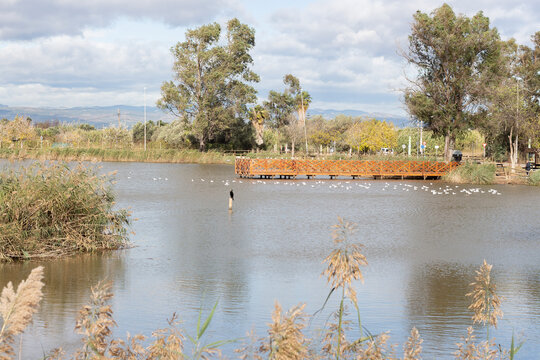 Paraje Natural Municipal de l&rsquo;Estany de Nules, Castell&oacute;n