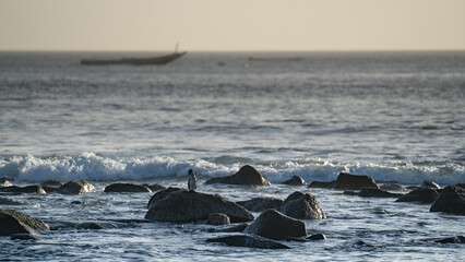 CAYUCO, DAKAR, SENEGAL