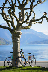 Fototapeta premium bicycle on the shore of lake