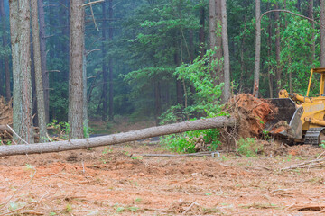 Construction process involved use of tractor skid steers to uproot trees make way for development subdivision requiring clearing land - obrazy, fototapety, plakaty