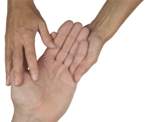 Female Palm Reader holding a man's open palm assessing the lines and bumps during a palm reading session transparent png file