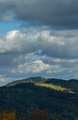 Forest mountain in autumn season sunlight over meadows