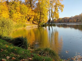 Sunny autumn day over the water, natural reflection of trees in the water