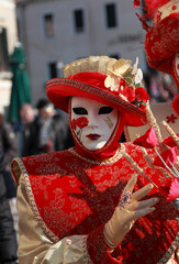 Disguised Person - Venice Carnival 2011