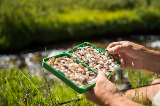 Fisherman selecting the right fly.
