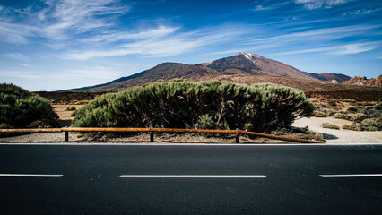 Along the road in Teide National Park, Tenerife, Spain.