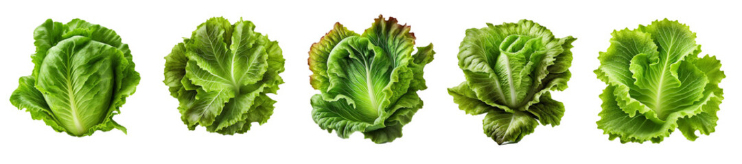 Set of lettuce salad, isolated on transparent background