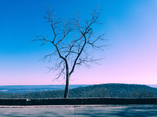 Mountain View in Monte Sano State Park in Alabama