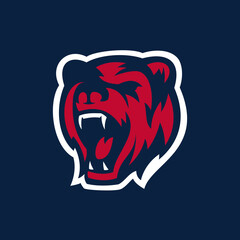 Bear Mascot For School Or Sports Team