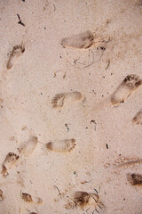 Footprints on the sand of the ocean, texture for a layout