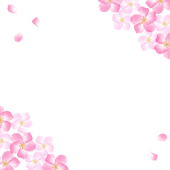 Fototapeta na wymiar 水彩の桜の花と花びらの白背景カード　正方形