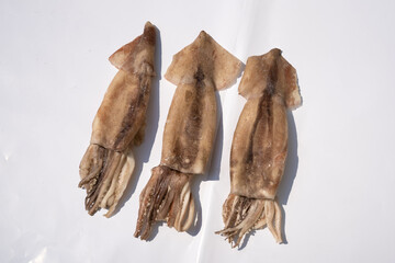 Fresh squid ready for sale