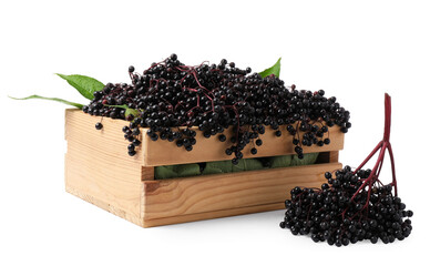 Crate with ripe elderberries and green leaves on white background