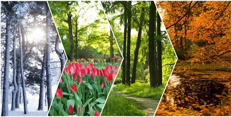 Four seasons. Collage design with beautiful photos of nature - Powered by Adobe