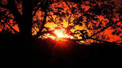 Norwegian Summer Sunset-Lindås Norway