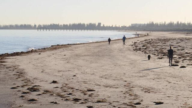 Man walking Dog on Beach in Semaphore in Morning during Winter