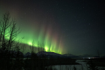 Alaskan Nights3