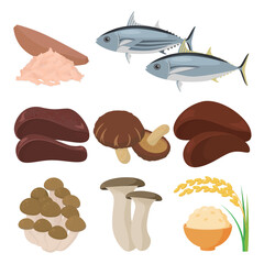Vector illustration of food containing vitamin B3.