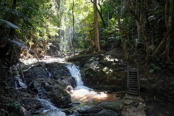 Obraz premium Small waterfall on mountain creek on the way to Huay Tho waterfall on sunny day. Khao Phanom Bencha National Park, Krabi Province, Thailand.