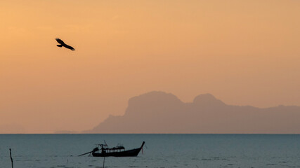 Fototapeta premium Flight of Brahminy kites above the sea and long tail boat at sunrise. View from Ko Lanta Old Town. Krabi Province, Thailand.