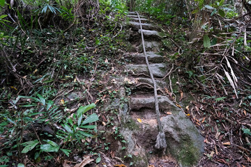Steps and rope handrail on ecological trail in the National Park (Mai Keaw Cave or Tham Khao Mai Khew). Ko Lanta island, Thailand.