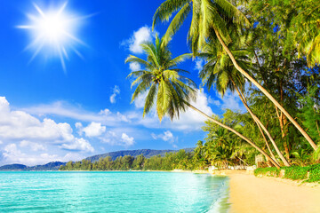 Obraz na płótnie Canvas Beautiful tropical island sea beach landscape, turquoise ocean water, yellow sand, sun blue sky white cloud, green coconut palm tree leaves, paradise nature, summer holidays, vacation, tourism, travel