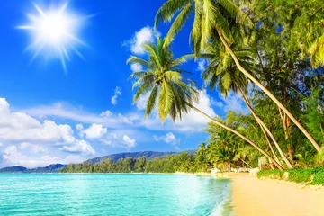 Poster Beautiful tropical island sea beach landscape, turquoise ocean water, yellow sand, sun blue sky white cloud, green coconut palm tree leaves, paradise nature, summer holidays, vacation, tourism, travel © Vera NewSib