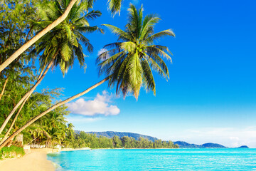 Obraz na płótnie Canvas Beautiful tropical island sea beach landscape, turquoise ocean water, yellow sand, sun blue sky white cloud, green coconut palm tree leaves, paradise nature, summer holidays, vacation, tourism, travel