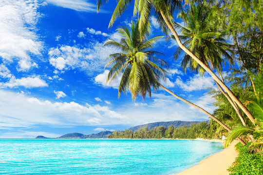 Beautiful tropical island sea beach landscape, turquoise ocean water, yellow sand, sun blue sky white cloud, green coconut palm tree leaves, paradise nature, summer holidays, vacation, tourism, travel