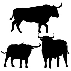 Bull and Buffalo Silhouette Vector Set isolated on White Background