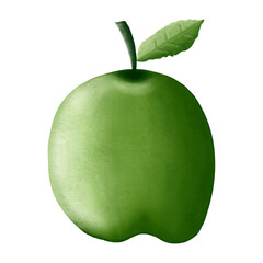 Fruits drawing elements. Illustration realistic green apple drawing paint isolated white background. 
