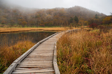 秋の赤城山・覚満淵