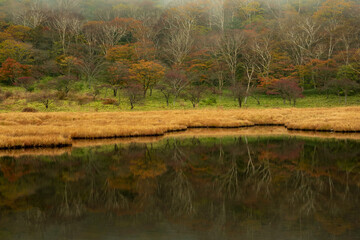 秋の赤城山・覚満淵
