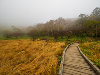 秋の赤城山・覚満淵