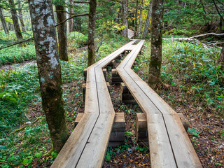 秋の上高地・木道