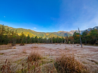 Fototapeta premium 秋の上高地・田代湿原