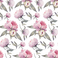 Watercolor peonies floral seamless pattern on white background.