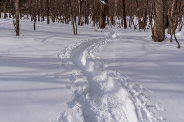 雪の奥日光、スノートレッキング
