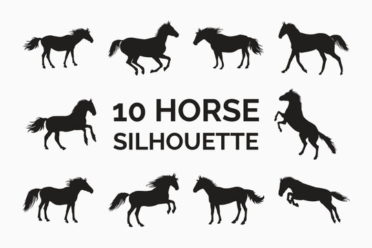 Horse silhouette design on a white background. Realistic horse silhouette vector collection for personal use. Dark knights in different position designs. Horse running, jumping, and standing vectors.