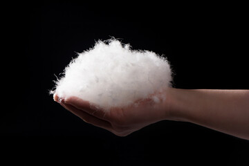 	
white down feathers hold in hand on black backgroud