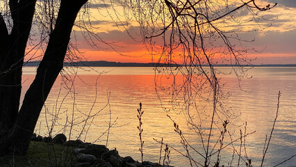 Sunset over lake with trees