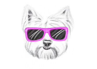 dog in pink sunglasses on an isolated white background. pencil drawing style. Generative AI