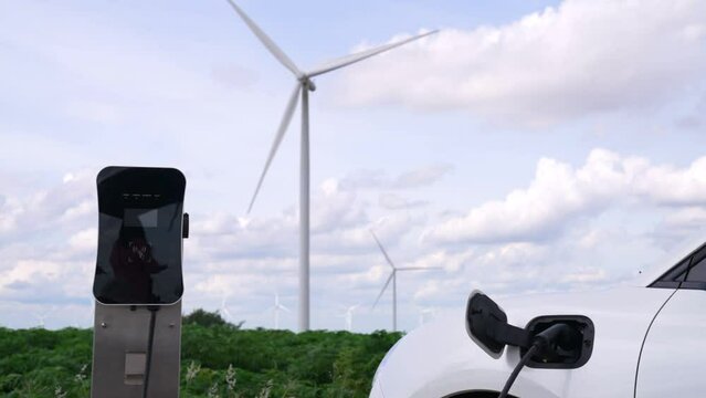 Progressive man with his electric car, EV car recharging energy from charging station on green field with wind turbine as concept of future sustainable energy. Electric vehicle with energy generator.