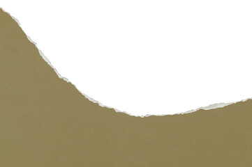 Cardboard with a torn edge is seen here isolated on a transparent background.