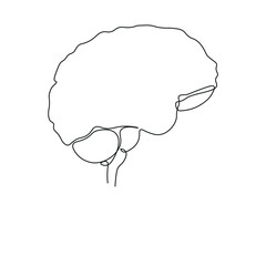 Empty, unfilled shell of the human brain. Symbolizes lack of knowledge or education and intelligence. Continuous one line minimalistic art technique