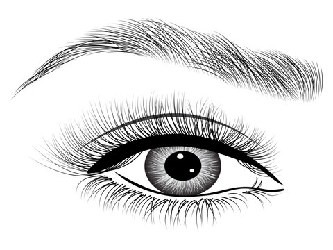illustration of a eye  on white background