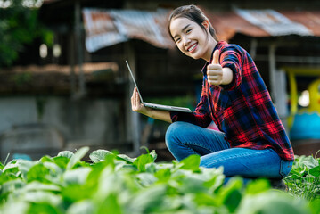 Female Agricultural use laptop during working in organic vegetable farm