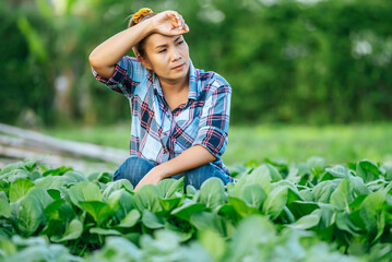 Portrait young Female Agricultural sitting in organic vegetable farm