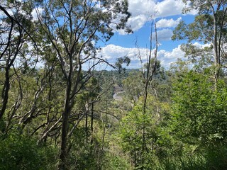 Forest view alongside bushland trial at picnic point parkland, Toowoomba, Queensland, Australia.